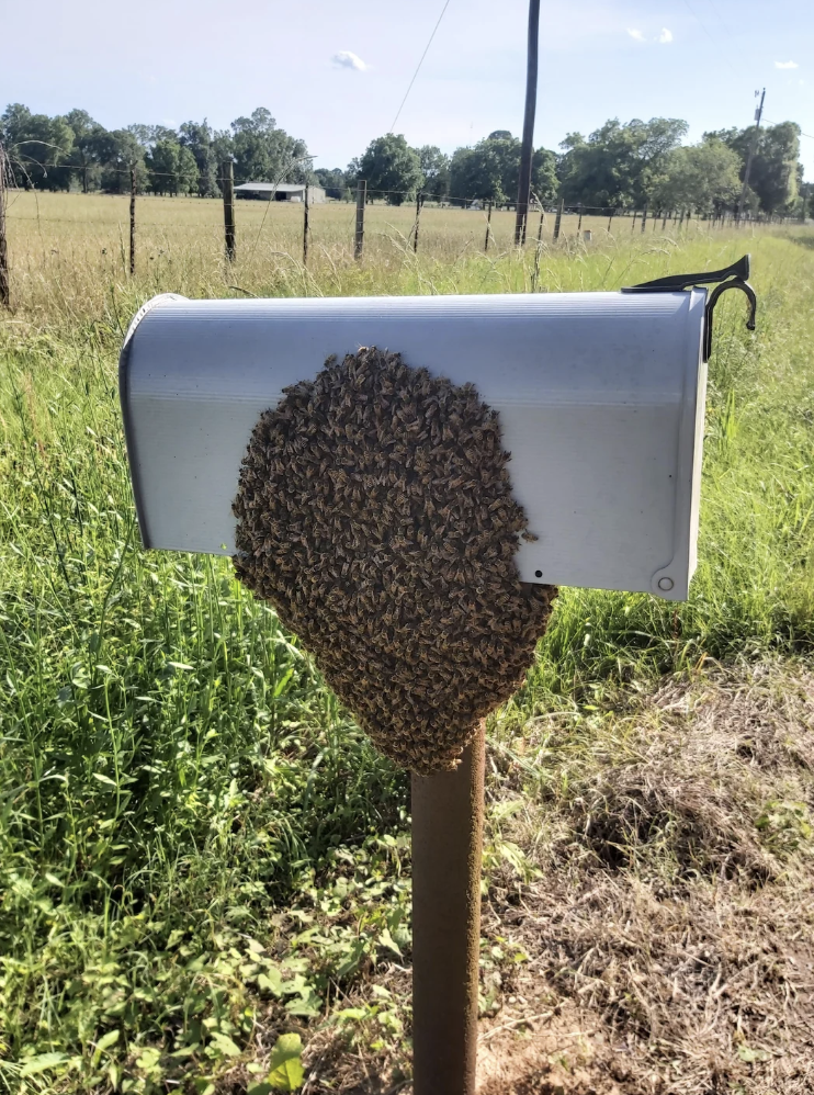 beehive mailbox